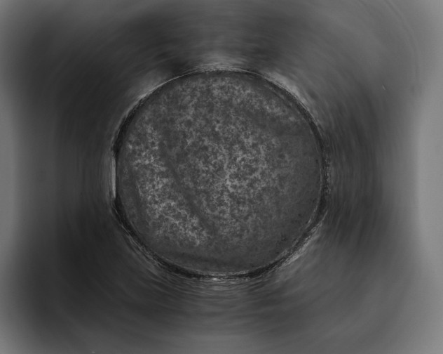 X0000093121219200710101034