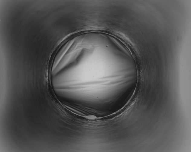 X0000093121220200710101034