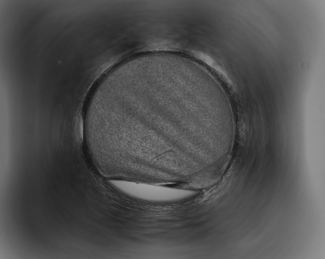 X0000093121221200710101034