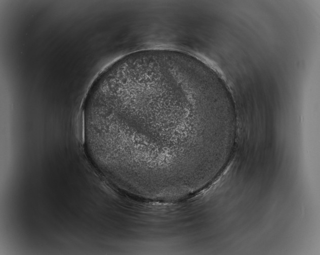 X0000093121223200710101034