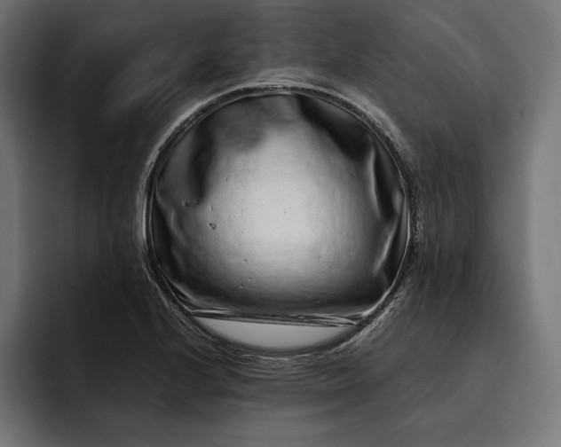 X0000093121224200710101034