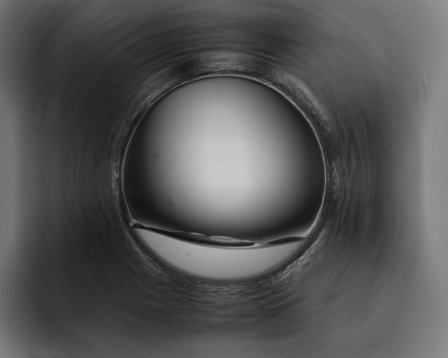 X0000093121225200710101034