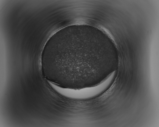 X0000093121226200710101034