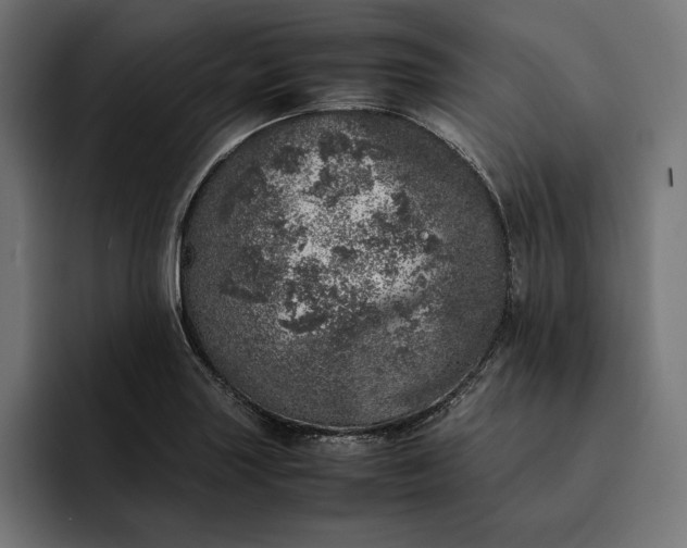 X0000093121227200710101034