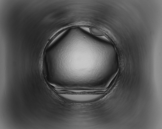 X0000093121228200710101034