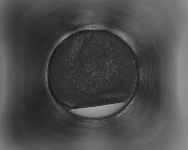 X0000093121229200710101034