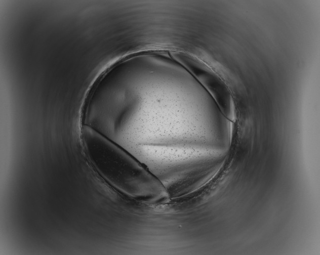 X0000093121230200710101034