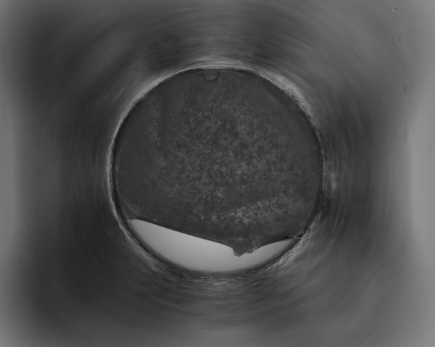 X0000093121231200710101034