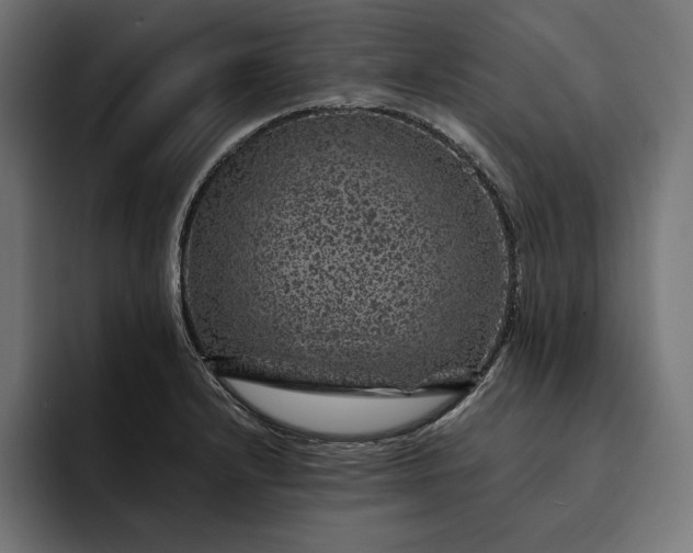 X0000093121232200710101034