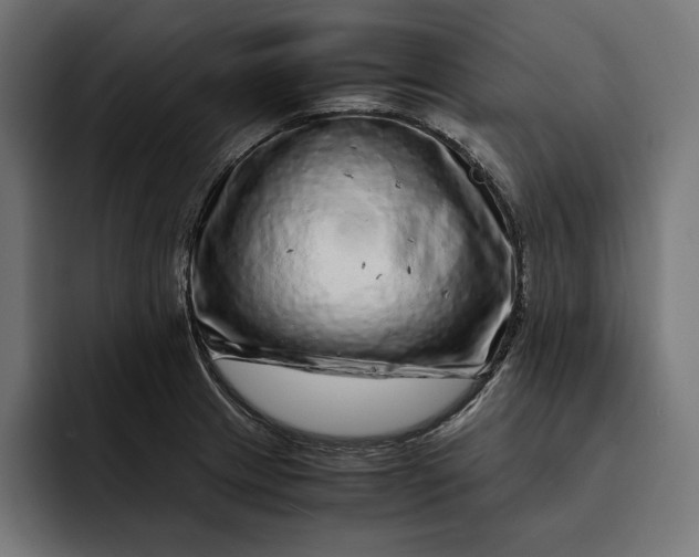 X0000093121233200710101034