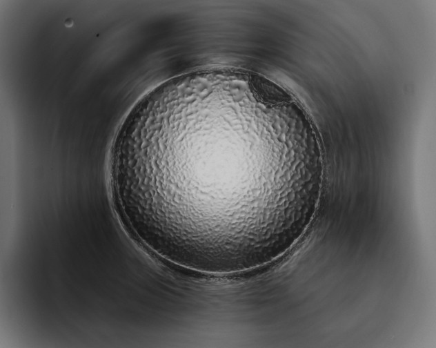 X0000093121235200710101034