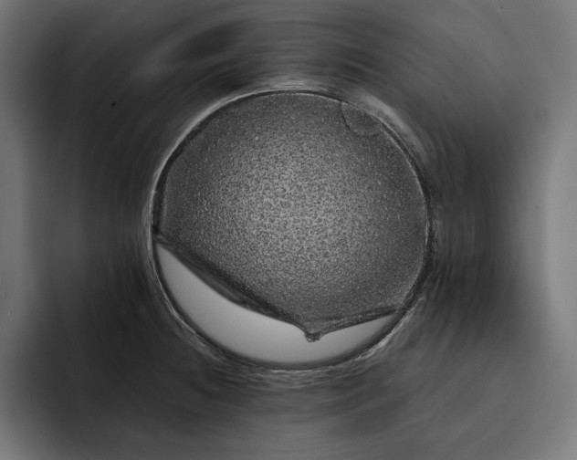 X0000093121236200710101034