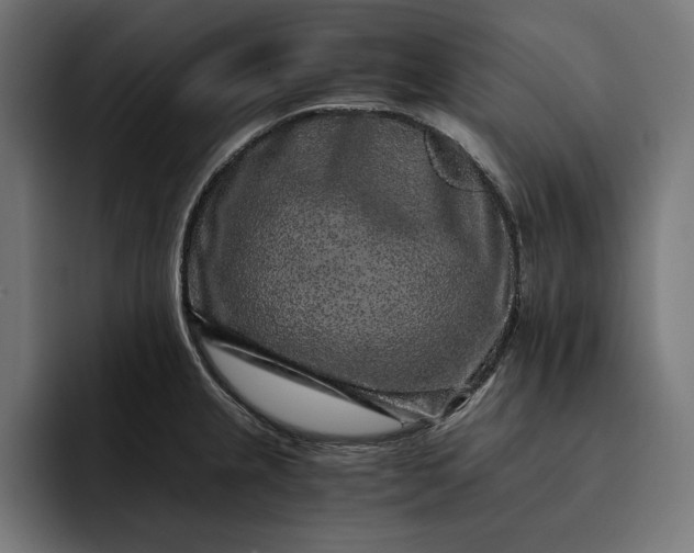 X0000093121237200710101034