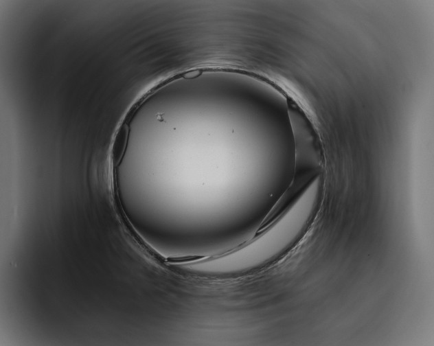 X0000093121238200710101034