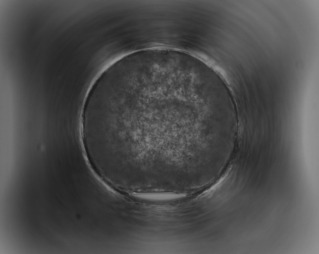 X0000093121239200710101034