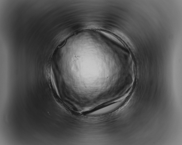 X0000093121241200710101034