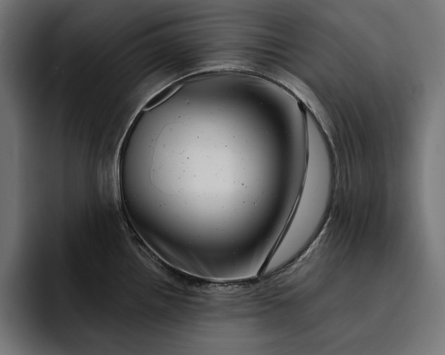 X0000093121242200710101034