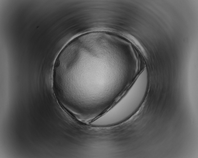 X0000093121244200710101034