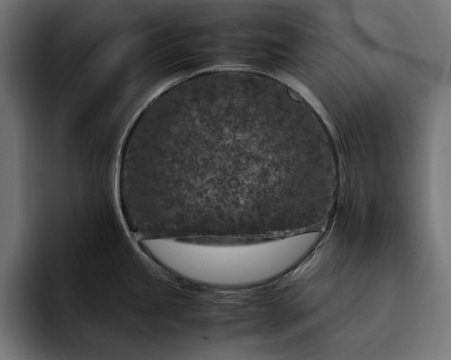 X0000093121245200710101034