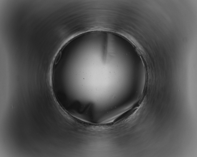 X0000093121246200710101034