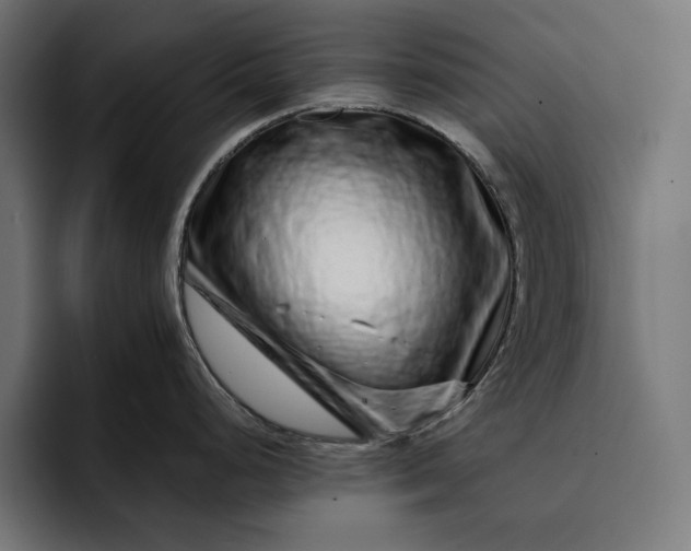 X0000093121248200710101034