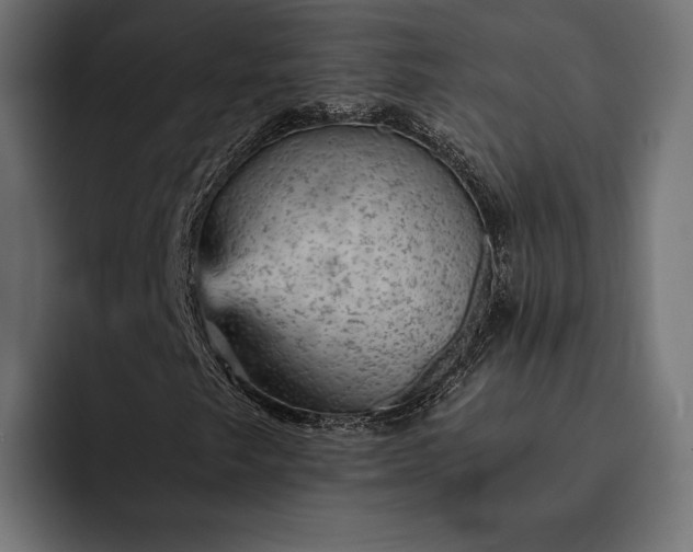 X0000093121249200710101034