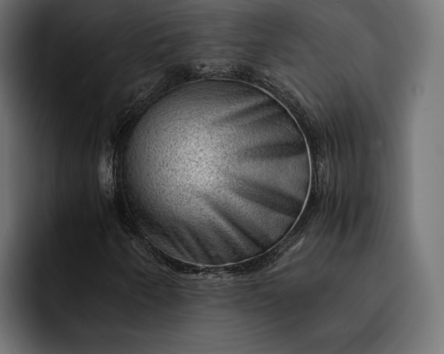 X0000093121250200710101034