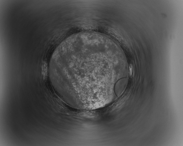 X0000093121251200710101034