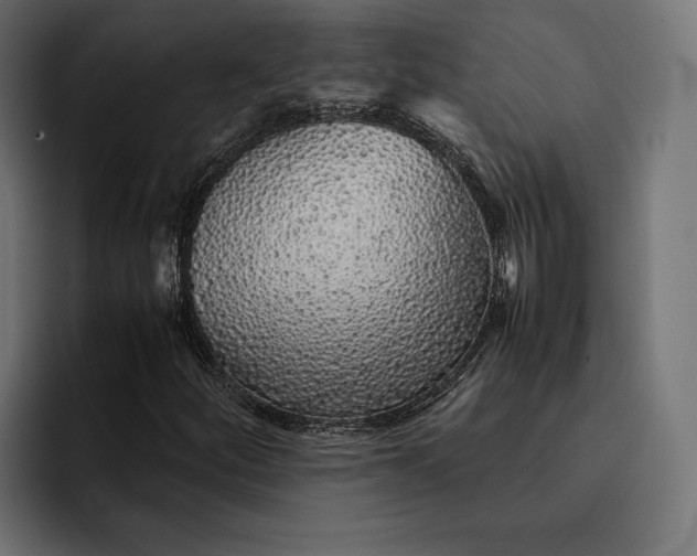 X0000093121252200710101034