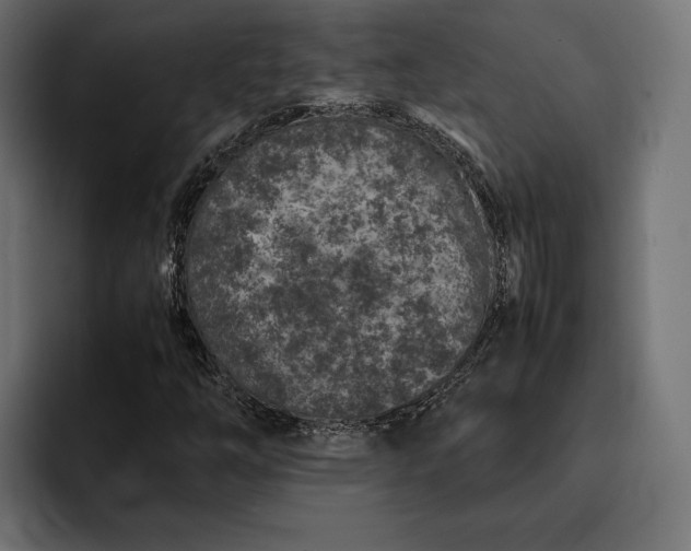 X0000093121254200710101034