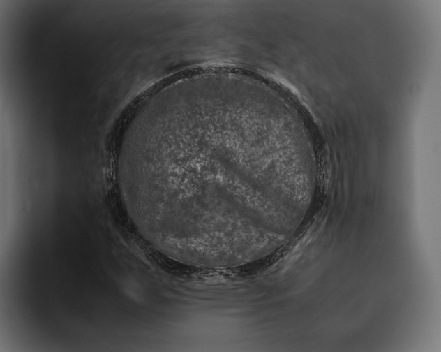 X0000093121255200710101034