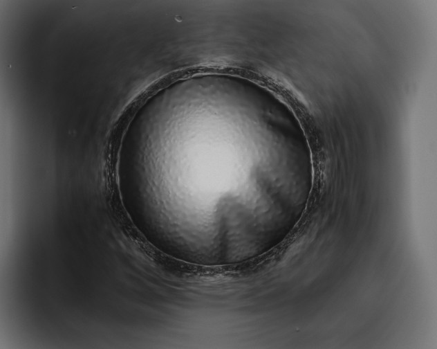 X0000093121256200710101034