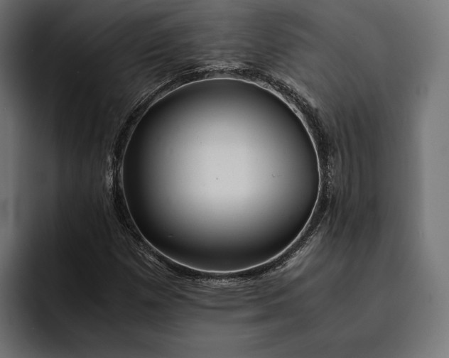 X0000093121257200710101033