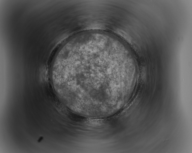 X0000093121258200710101033