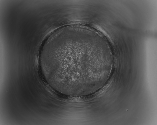 X0000093121259200710101033