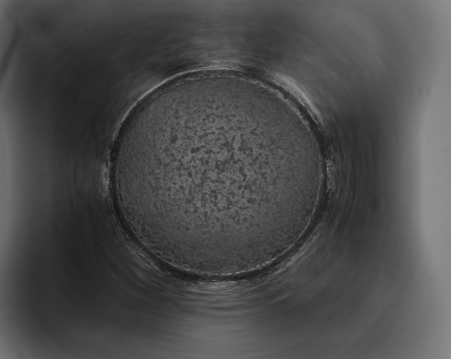 X0000093121260200710101033