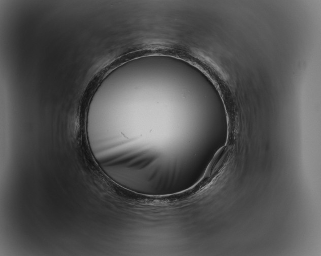 X0000093121261200710101033