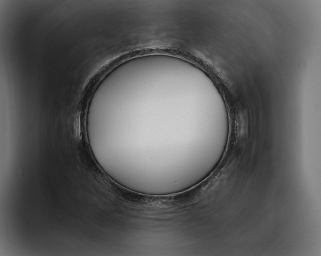 X0000093121262200710101033