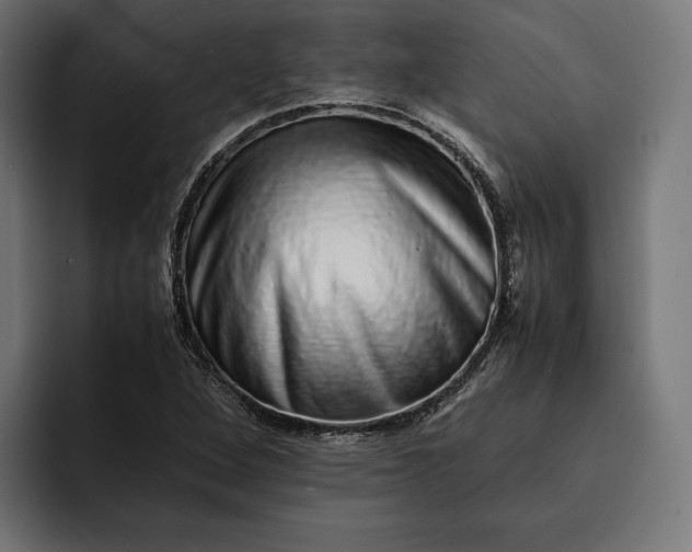 X0000093121264200710101033