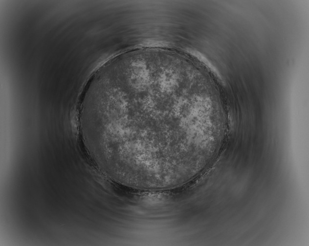 X0000093121266200710101033