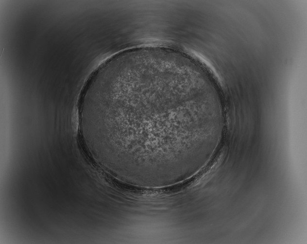 X0000093121267200710101033