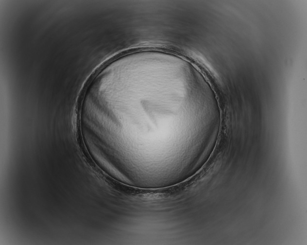 X0000093121268200710101033