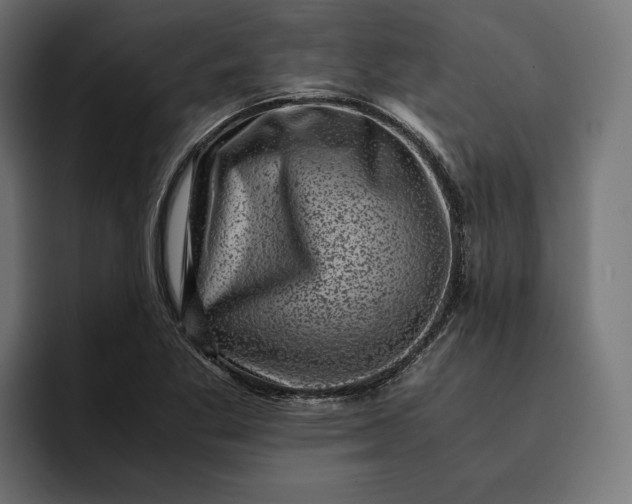 X0000093121269200710101033