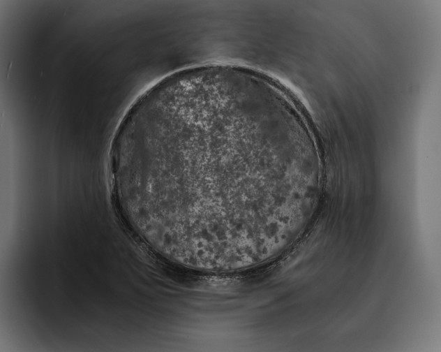 X0000093121271200710101033