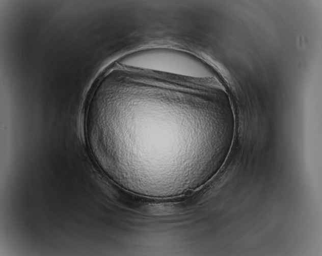 X0000093121272200710101033