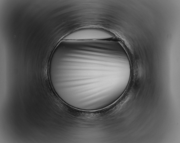 X0000093121273200710101033