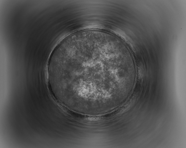 X0000093121274200710101033