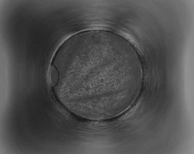 X0000093121275200710101033