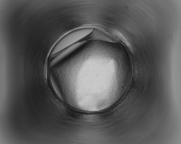 X0000093121276200710101033