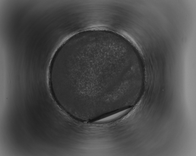 X0000093121277200710101033